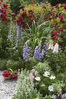 Rosa 'Flammentanz' (Kletterrosen), Delphinium (Rittersporn)