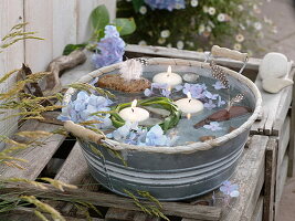 Maritime decoration in zinc bowl