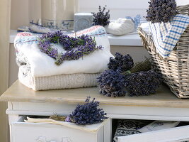 Lavender (Lavandula) as a laundry protector