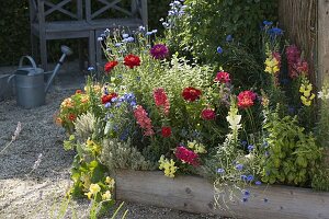 Planting trapezoidal beds with summer flowers