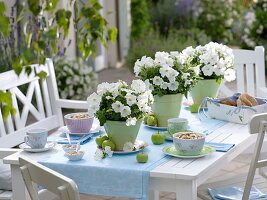 Green and white table decoration with petunias