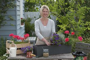 Lechuza box in red, purple and silver planting 2/5