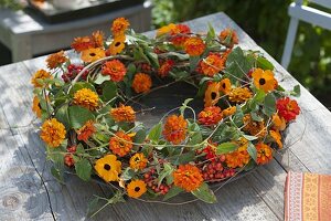 Orange-red wreath with Zinnia (Zinnias), Clematis vines, Sorbus