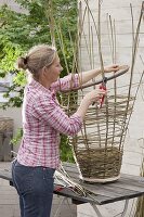 Making your own wicker basket for climbing plants (10/17)