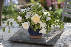 Bouquet of tea herbs