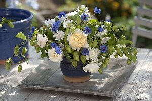 Bouquet of tea herbs