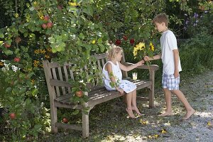 Mädchen auf Holzbank unterm Apfelbaum (Malus)