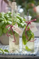 Fresh basil (Ocimum basilicum) pickled in oil and vinegar