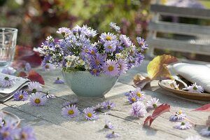 Simple autumnal table decoration with aster (autumn asters) in green bowl