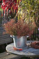 Bouquet of Rosa multiflora (mini rosehips) in zinc bucket