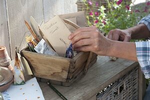 Harvesting and storing tomato seeds 6/6