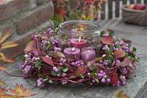 Autumn wreath of Cornus (dogwood) branches, Symphoricarpos