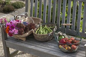 Baskets of peppers (Capsicum), tomatoes (Lycopersicon), beans