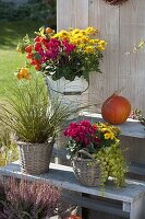 Autumn terrace with plant stairs