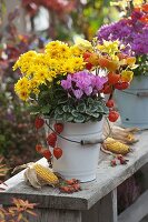 Herbstlich bepflanzter Emaille-Eimer: Chrysanthemum
