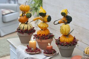 Autumnal pumpkin decoration in the room