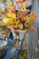 Blätterstrauß aus Zweigen von Sträuchern mit schöner Herbstfärbung