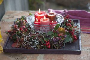 Autumn wreath with Gaultheria procumbens (false berry), Calocephalus