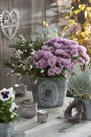 Silver Pink Autumn Arrangement, Chrysanthemum