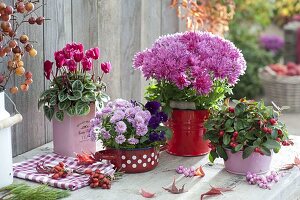 Autumn arrangement in enamelled vessels on the patio table