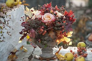 Late autumn bouquet with pinks, rosehips, quercus, larix