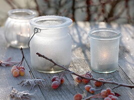 Gefrorene Gläser als Windlichter, Malus (Zieräpfel)