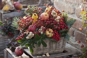Basket Box Tucked with Fruits and Berries as Bird Food Box