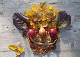 Laying pictures of leaves and fruits