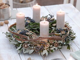 Simple Advent Quercus (Holm oak) wreath