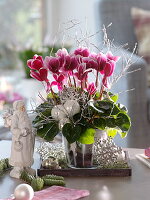 Christmas cyclamen decorated with white balls