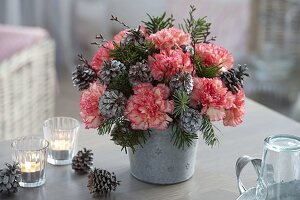 Winter bouquet of dianthus (carnations), branches of abies