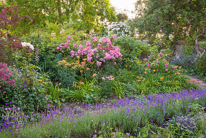 Mit Lavendel gesäumter Weg, Rosen, Achillea und Taglilien