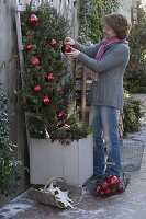 Rose im Kübel weihnachtlich einwintern