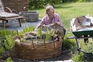 Mini pond with planted willow border