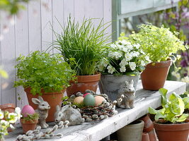 Parsley, chives, chervil