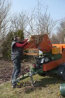 Woman chopping back woody plants with a large shredder