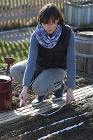 Woman putting seed ribbons with vegetable seeds in the ground