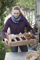 Woman carrying box with sowing utensils