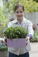 Mädchen mit Salbei (Salvia) und Thymian (Thymus) in violettem Kasten