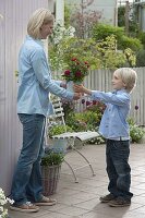 Boy giving his mother a pot of pinks (roses)