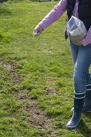 Woman reseeding gaps in lawn