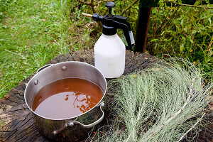 Broth of Equisetum (Horsetail) as tonic, preventive against fungal diseases, pressure sprayer