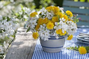 Bouquet of malus and taraxacum in salt glaze pot