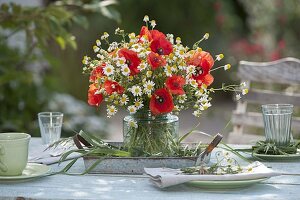 Red and white meadow bouquet of Papaver rhoeas (corn poppy) and Matricaria