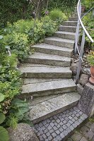 Granit-Treppe mit Handlauf, Alchemilla (Frauenmantel), Acker-Schachtelhalm