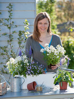 Wooden box planted blue and white