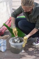 Concrete red rods as a climbing aid for climbing plants