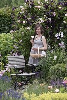 Schwangere Frau genießt den Duft im Rosengarten und schneidet Blüten