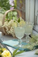 Freshly harvested flowers of elder (Sambucus nigra) in a chip basket