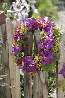 Hydrangea (Hydrangea) and Alchemilla flowers wreath